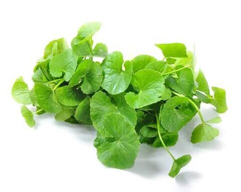 Weiprost sisaldab gotu kola (Centella asiatica)